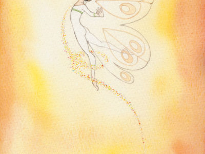 Volo
